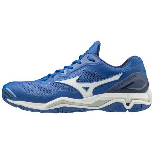 Dámské Boty na Házenou Mizuno Wave Stealth V Blankyt